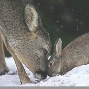 Meet your Posher, Guy